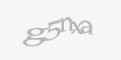 Защитный код